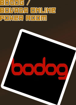 Bodog online poker