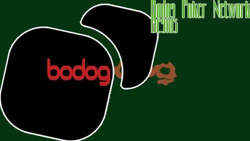 Bodog poker network